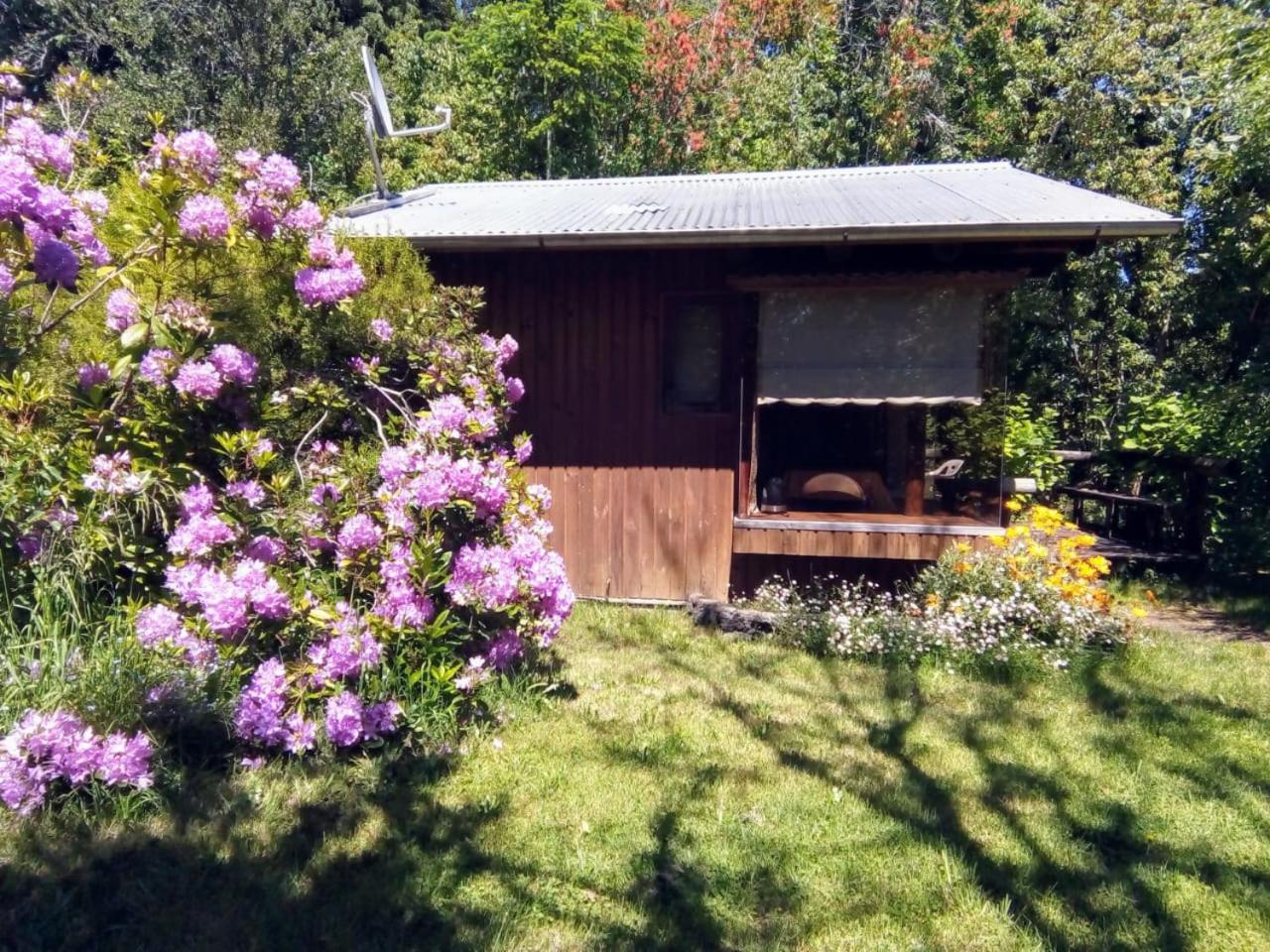 Cabanas El Cipres Pucon Exterior photo