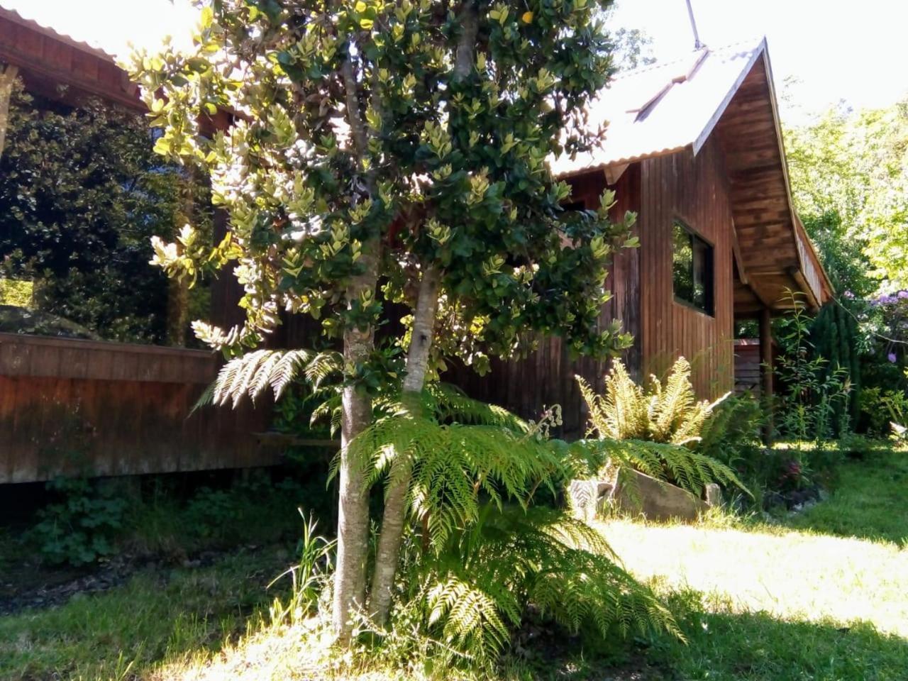 Cabanas El Cipres Pucon Exterior photo